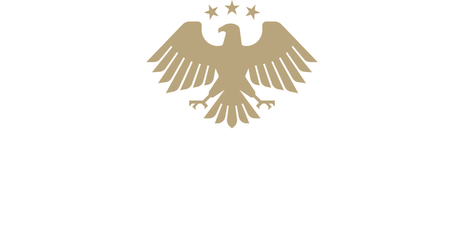 شعار الهيئة العامة للمنافذ والجمارك